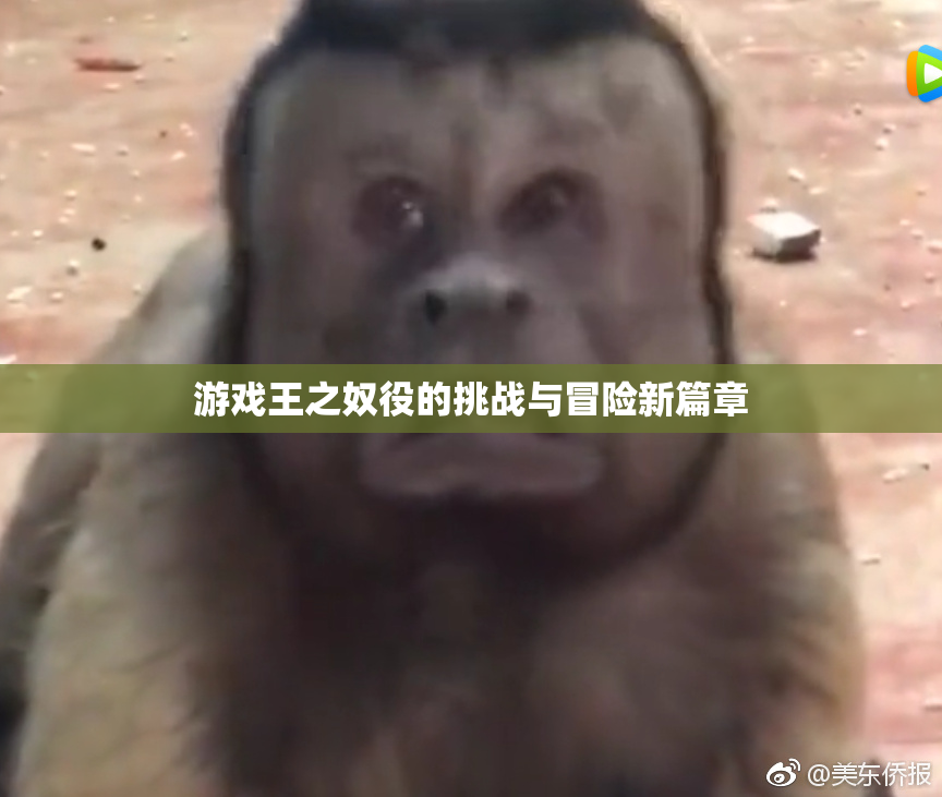 游戏王之奴役的挑战与冒险新篇章