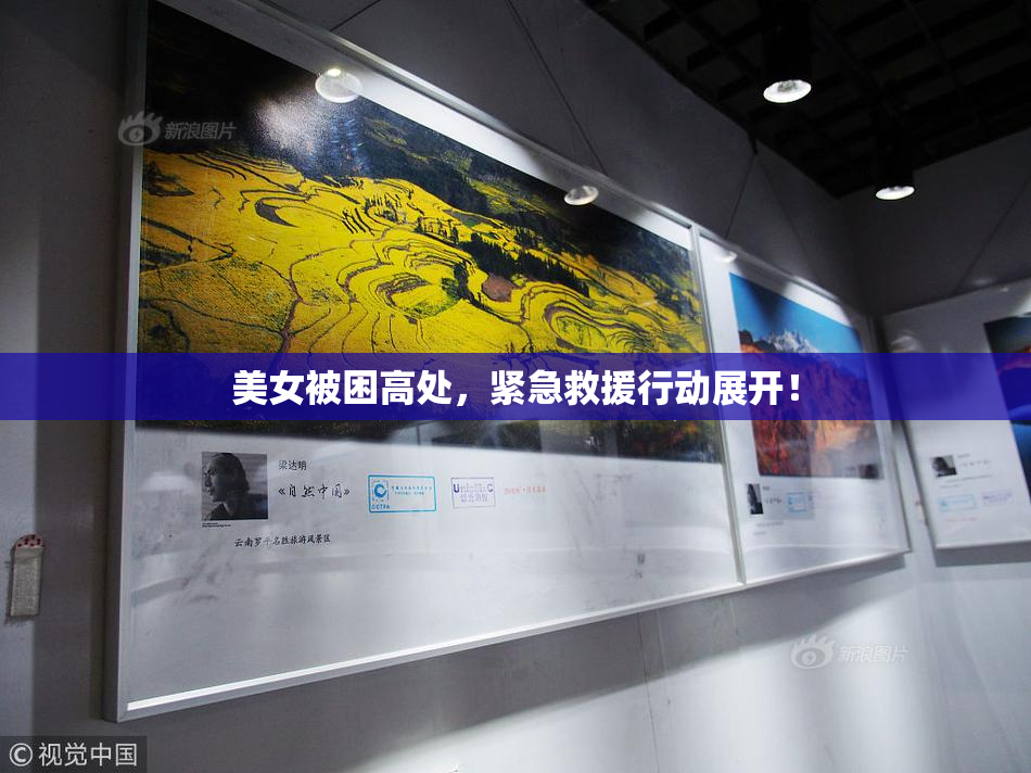 美女被困高处，紧急救援行动展开！