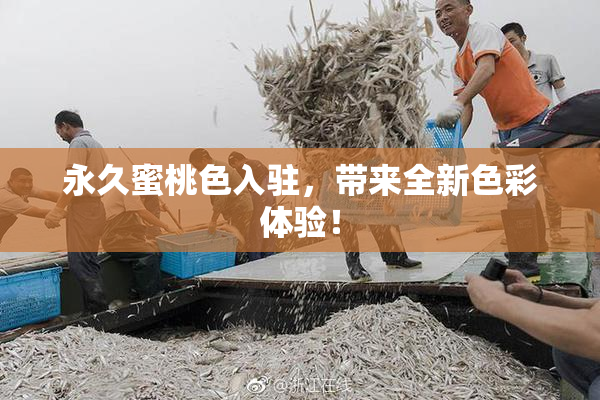 永久蜜桃色入驻，带来全新色彩体验！