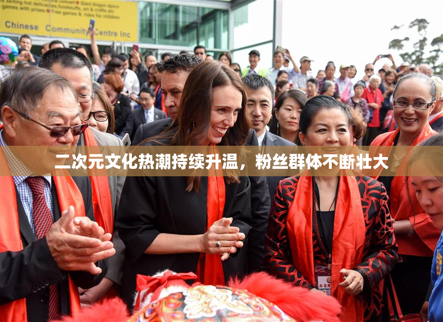 二次元文化热潮持续升温，粉丝群体不断壮大