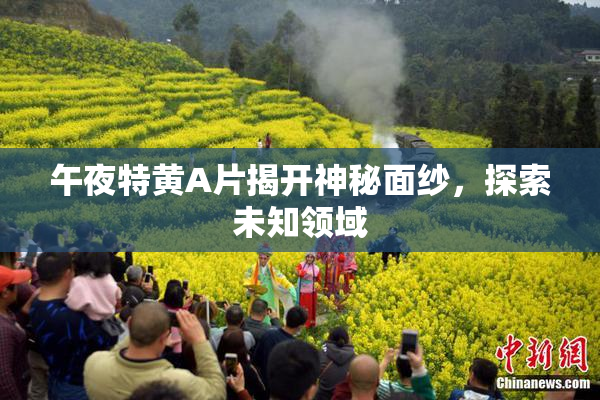 午夜特黄A片揭开神秘面纱，探索未知领域