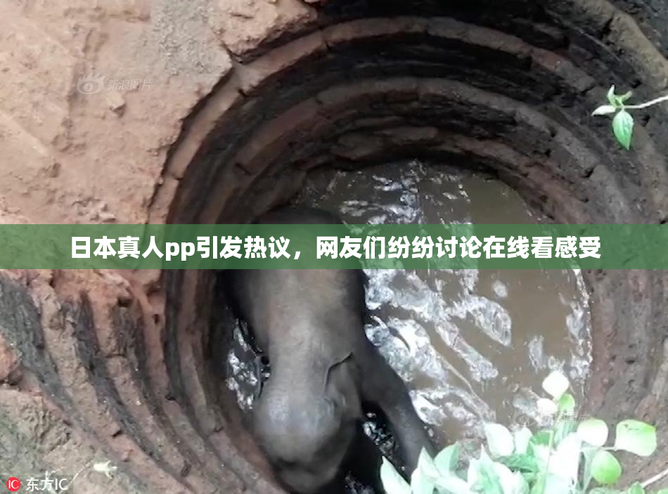日本真人pp引发热议，网友们纷纷讨论在线看感受
