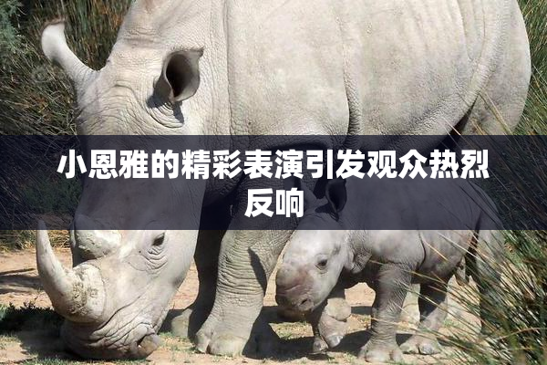 小恩雅的精彩表演引发观众热烈反响