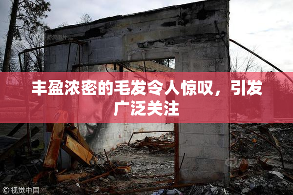 丰盈浓密的毛发令人惊叹，引发广泛关注