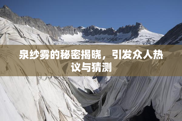 泉纱雾的秘密揭晓，引发众人热议与猜测