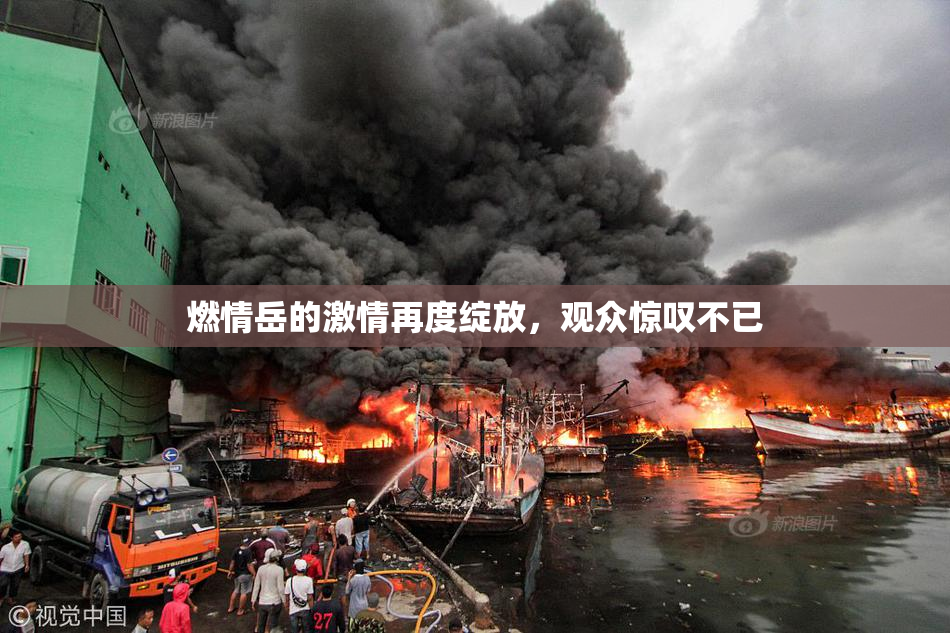 燃情岳的激情再度绽放，观众惊叹不已