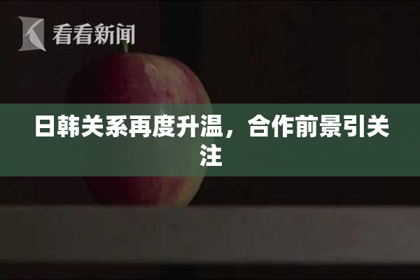 日韩关系再度升温，合作前景引关注