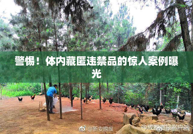 警惕！体内藏匿违禁品的惊人案例曝光