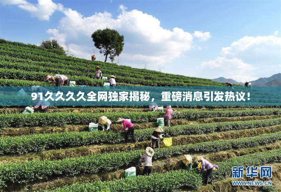 91久久久久全网独家揭秘，重磅消息引发热议！