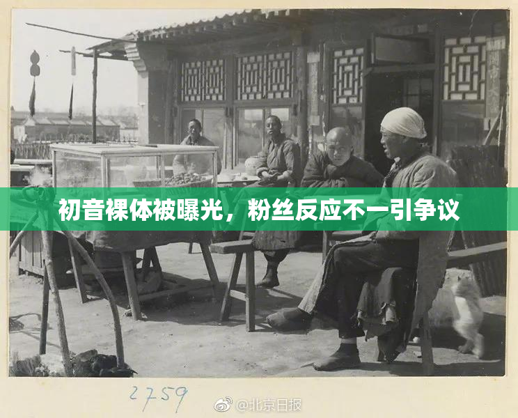 初音裸体被曝光，粉丝反应不一引争议