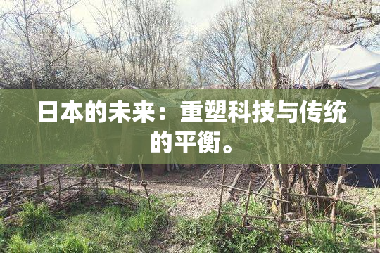 日本的未来：重塑科技与传统的平衡。