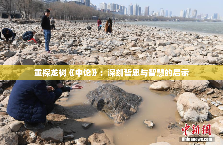 重探龙树《中论》：深刻哲思与智慧的启示