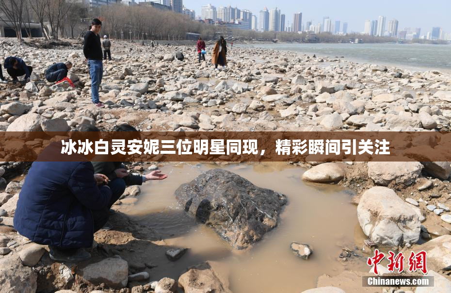 冰冰白灵安妮三位明星同现，精彩瞬间引关注