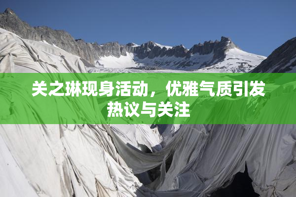 关之琳现身活动，优雅气质引发热议与关注