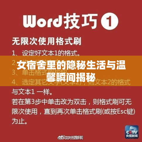 女宿舍里的隐秘生活与温馨瞬间揭秘