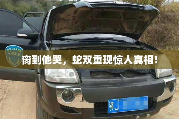 脔到他哭，蛇双重现惊人真相！