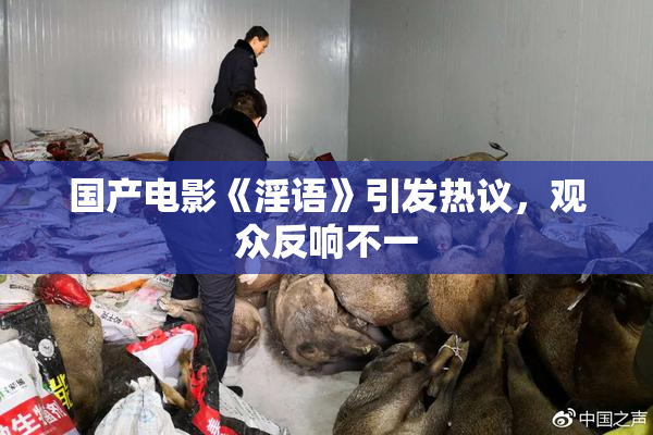 国产电影《淫语》引发热议，观众反响不一