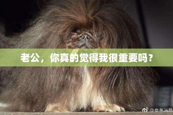 老公，你真的觉得我很重要吗？