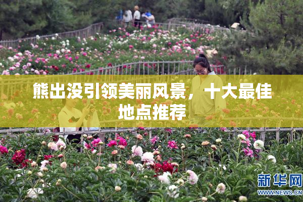 熊出没引领美丽风景，十大最佳地点推荐