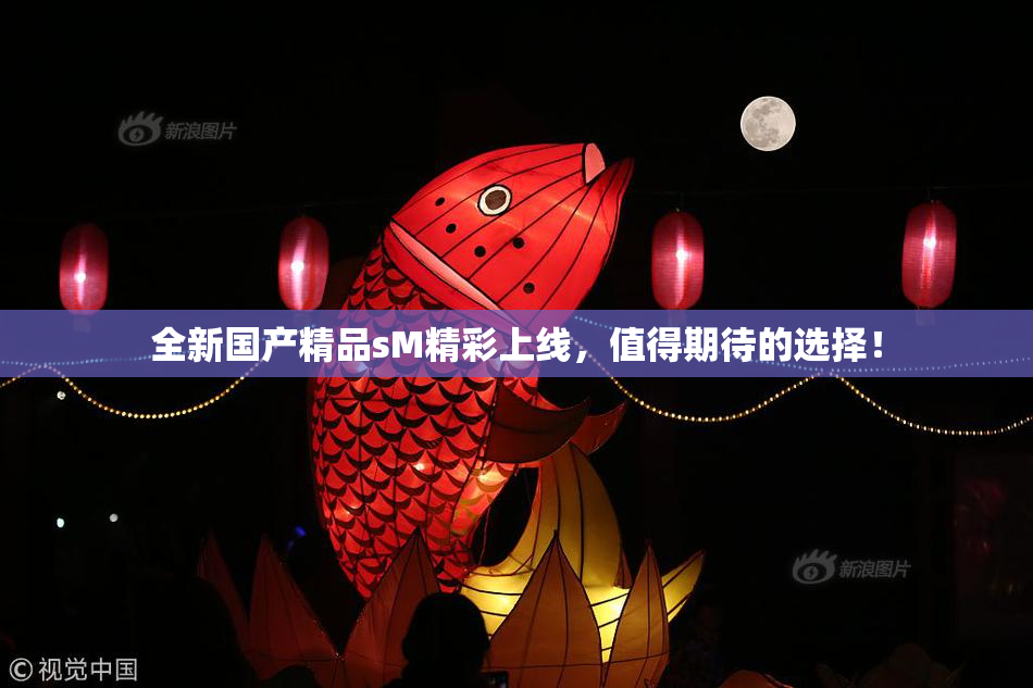 全新国产精品sM精彩上线，值得期待的选择！