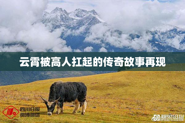 云霄被高人扛起的传奇故事再现