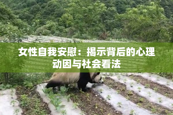 女性自我安慰：揭示背后的心理动因与社会看法