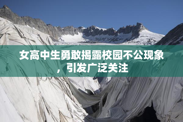 女高中生勇敢揭露校园不公现象，引发广泛关注