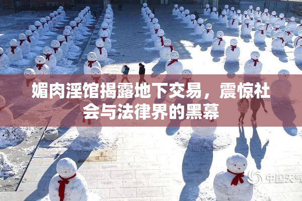 媚肉淫馆揭露地下交易，震惊社会与法律界的黑幕
