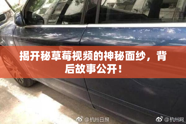 揭开秘草莓视频的神秘面纱，背后故事公开！