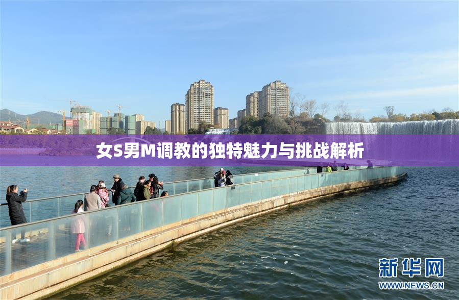 女S男M调教的独特魅力与挑战解析