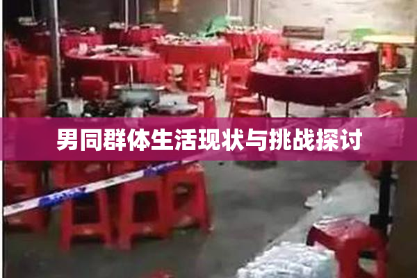 男同群体生活现状与挑战探讨