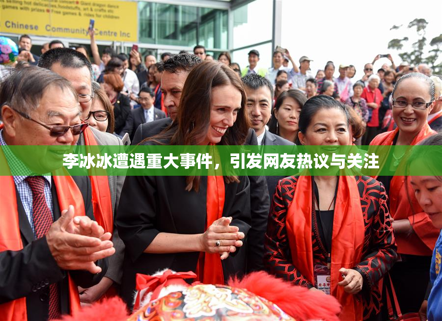 李冰冰遭遇重大事件，引发网友热议与关注