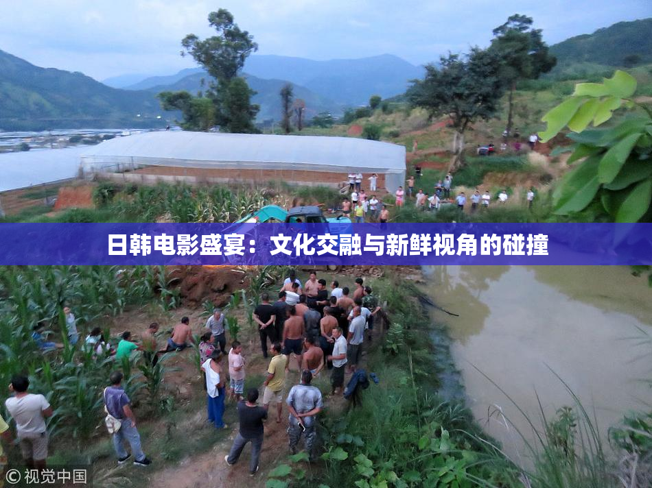 日韩电影盛宴：文化交融与新鲜视角的碰撞