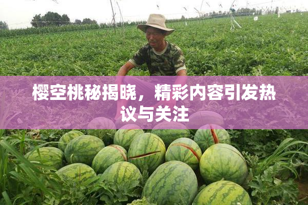 樱空桃秘揭晓，精彩内容引发热议与关注