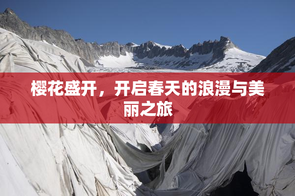 樱花盛开，开启春天的浪漫与美丽之旅