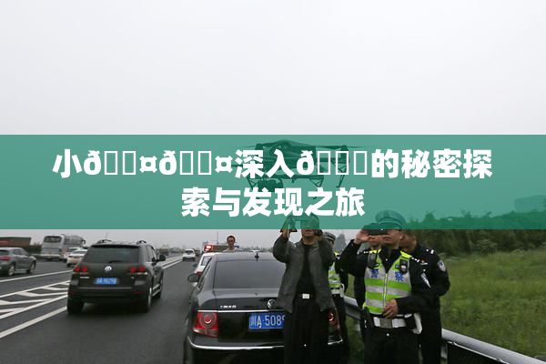 小🐤🐤深入🍑的秘密探索与发现之旅