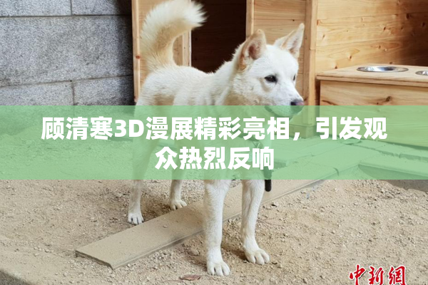 顾清寒3D漫展精彩亮相，引发观众热烈反响