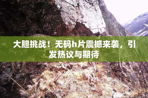 大胆挑战！无码h片震撼来袭，引发热议与期待