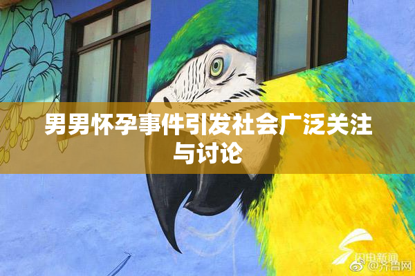 男男怀孕事件引发社会广泛关注与讨论