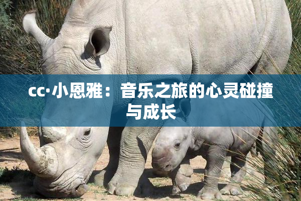 cc·小恩雅：音乐之旅的心灵碰撞与成长