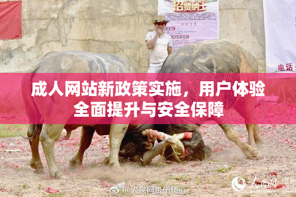 成人网站新政策实施，用户体验全面提升与安全保障