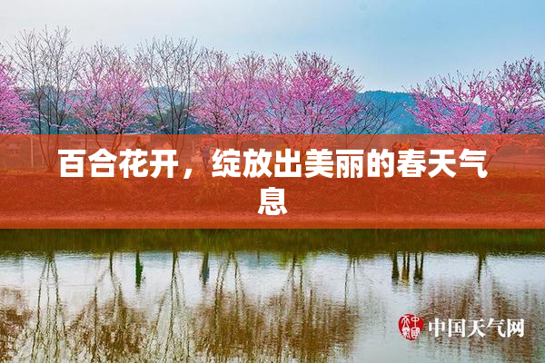 百合花开，绽放出美丽的春天气息