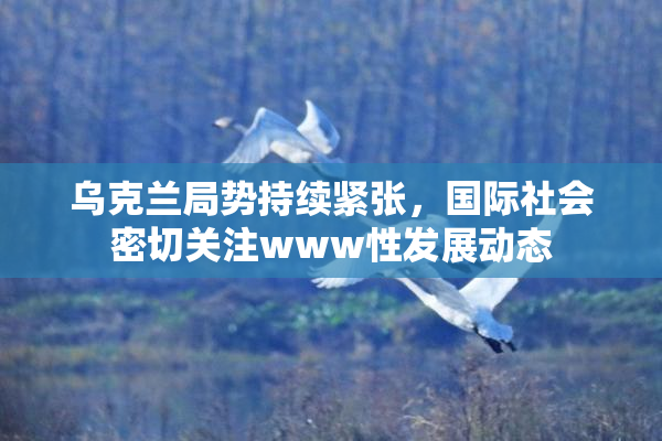 乌克兰局势持续紧张，国际社会密切关注www性发展动态