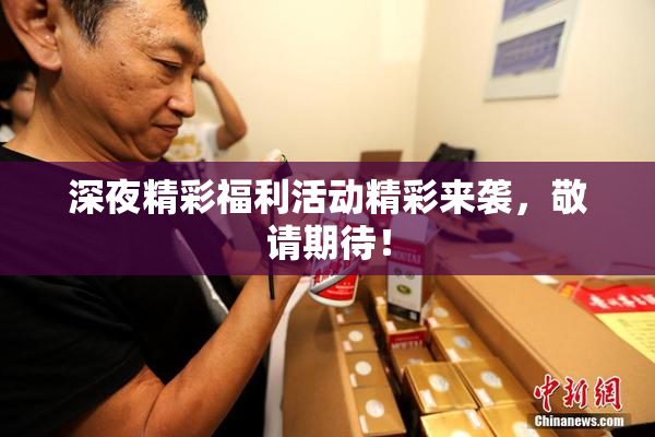 深夜精彩福利活动精彩来袭，敬请期待！