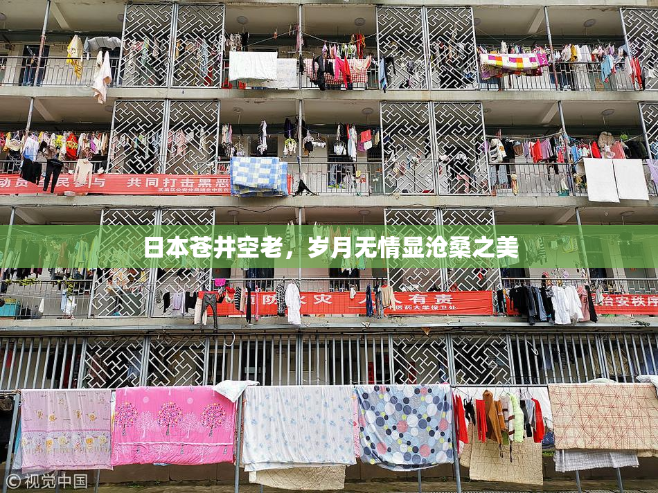 日本苍井空老，岁月无情显沧桑之美