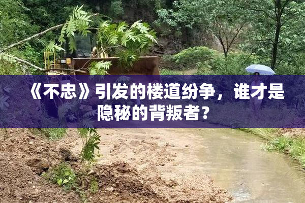 《不忠》引发的楼道纷争，谁才是隐秘的背叛者？