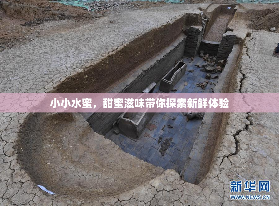 小小水蜜，甜蜜滋味带你探索新鲜体验
