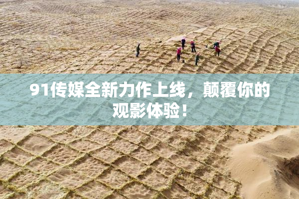 91传媒全新力作上线，颠覆你的观影体验！