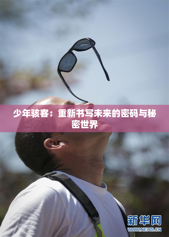 少年骇客：重新书写未来的密码与秘密世界