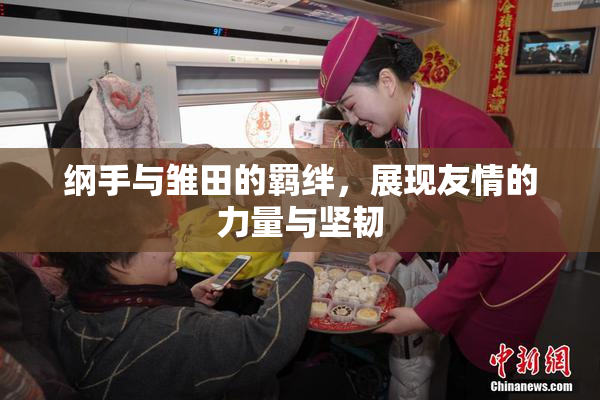 纲手与雏田的羁绊，展现友情的力量与坚韧